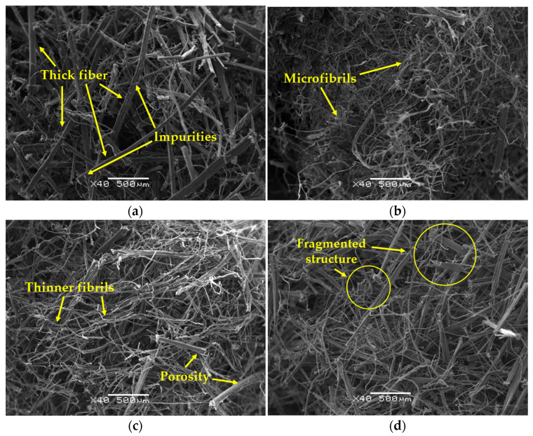 Hemp strands distribution: (a) control, (b) M2, (c) M3, and (d) M4.