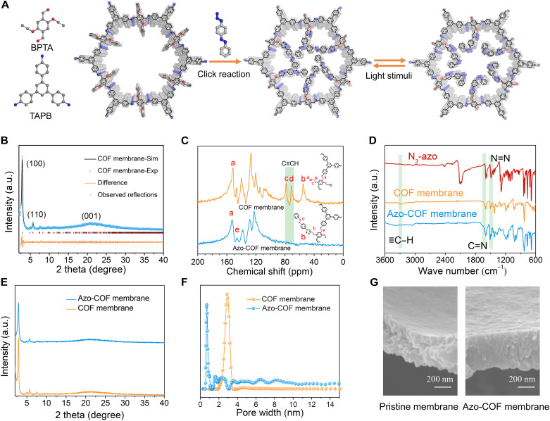 Synthesis and characterization of the COF membrane.(A) Synthesis of the COF and Azo-COF membranes. (B) Experimental and simulated PXRD patterns of the COF membrane. a.u., arbitrary units. (C) Solid-state 13C cross-polarization magic-angle-spinning NMR spectra of the COF and Azo-COF membranes. (D) FTIR spectra of the pristine and azobenzene-grafted COF membranes. (E) PXRD patterns of the azobenzene-grafted COF membrane compared to the pristine membrane. (F) Pore size distribution of the pristine and azobenzene-grafted COF membranes based on the N2 adsorption/desorption isotherm. (G) Cross section of the SEM image for the pristine (left) and azobenzene-grafted (right) COF membranes.