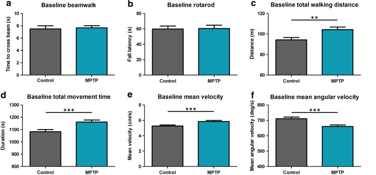 Effect of MPTP. Results of the behavioral tests in week 0 (set as the baseline (100%) for the effect of physical exercise, which is shown in Fig. 2). No effect of MPTP was shown for the beam walk (a), or rotarod (b) tests, but MPTP significantly affects the parameters in the open field (c–f). **p < 0.01; ***p < 0.005, mean + SEM, n = 28 for controls (saline-treated), and n = 23 for MPTP-treated mice
