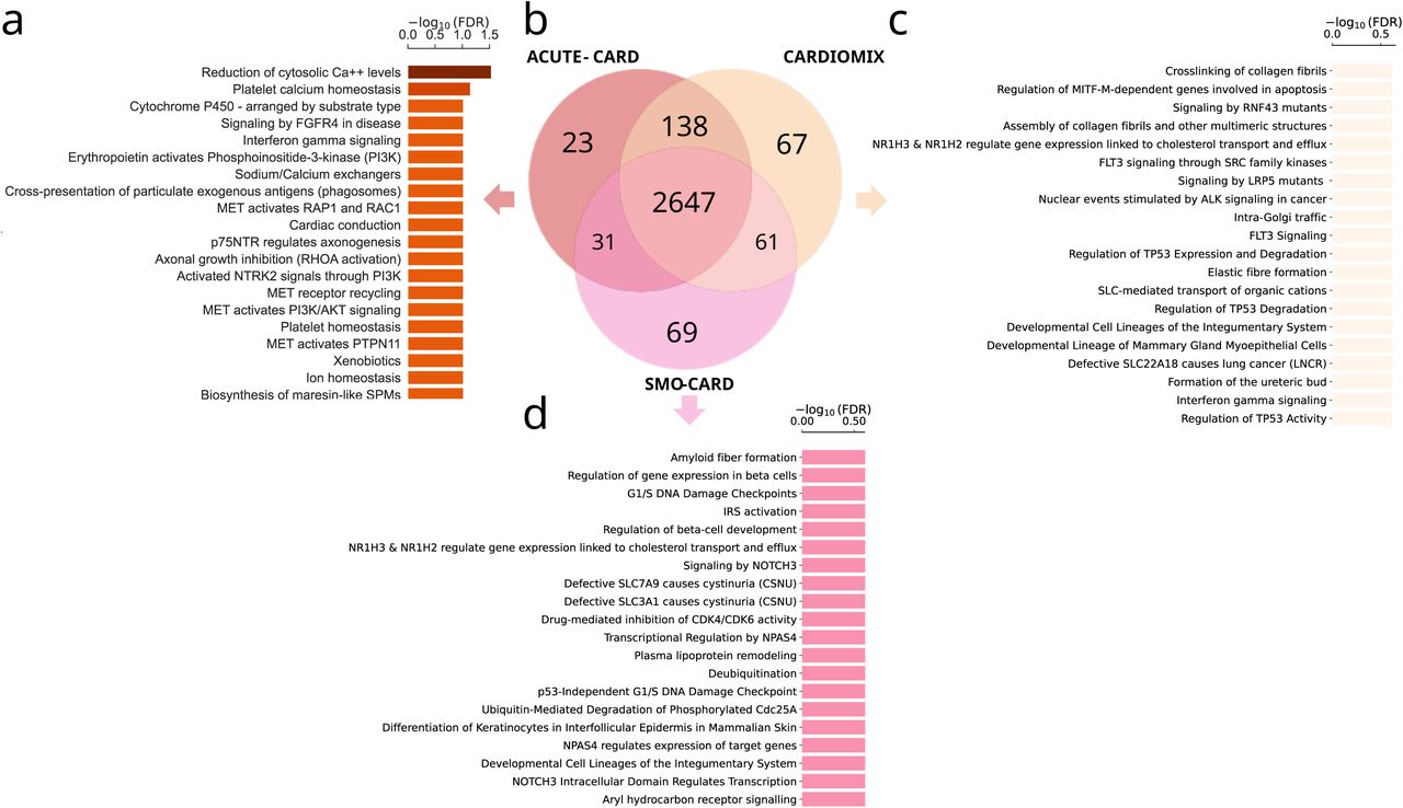 Comparative Pathway Enrichment and Gene Overlap Analysis of AMI -Associated SNPs Across ACUTE -CARD, CARDIOMIX, and SMO-CARD.Multi-panel figure illustrating gene overlap and pathway enrichment for genes containing acute AMI-associated SNPs in three profiles. (a) Top enriched Reactome pathways specific to the ACUTE-CARD, ranked by -log₁₀(FDR) (dark red to orange bars). (b) Venn diagram showing counts of overlapping genes across ACUTE-CARD, CARDIOMIX, and SMO-CARD profiles. (c) Top enriched Reactome pathways specific to the CARDIOMIX, ranked by -log₁₀(FDR) (yellow-orange bars). (d) Top enriched Reactome pathways specific to the SMO-CARD cohort or a complementary gene set, ranked by -log₁₀(FDR) (pink bars).