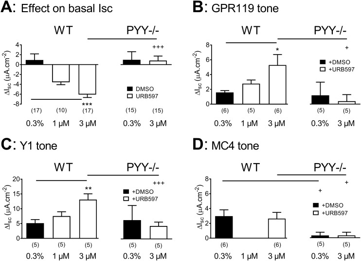 FAAH inhibition with URB597 amplifies GPR119 and Y1 tones but not MC4 tone in the WT- or PYY−/−-descending colon. (A) The effects of vehicle [0.3% dimethyl sulfoxide (DMSO)] or URB597 (at 1 or 3 µM, ap) on basal Isc levels in the WT colon (triplet of bars to left) and PYY−/− colon mucosa (right two bars). (B) Pretreatment with URB597 significantly amplifies (at 3 µM) GPR119 tone (revealed using GPR119 antagonist AR436352, 10 µM, ap) in WT (left) but not PYY−/− tissue (right). (C) Y1 receptor signaling (after Y1 antagonist BIBO3304, 300 nM, bl) is increased by URB597 but only in WT mucosa. (D) MC4 tone (revealed using MC4 antagonist HS014, 30 nM, bl) is unaffected by URB597 (3 µM, ap), and MC4 tone is absent in PYY−/− tissue. Values are the means ± 1 SEM, and statistically significant differences from vehicle controls (0.3% DMSO) were identified using ANOVA (with Dunnett post hoc test) and shown as: *P < 0.05, **P < 0.01, and ***P < 0.001, whereas differences in tonic activities between WT and PYY−/− are shown as: +P < 0.05 and +++P < 0.001.