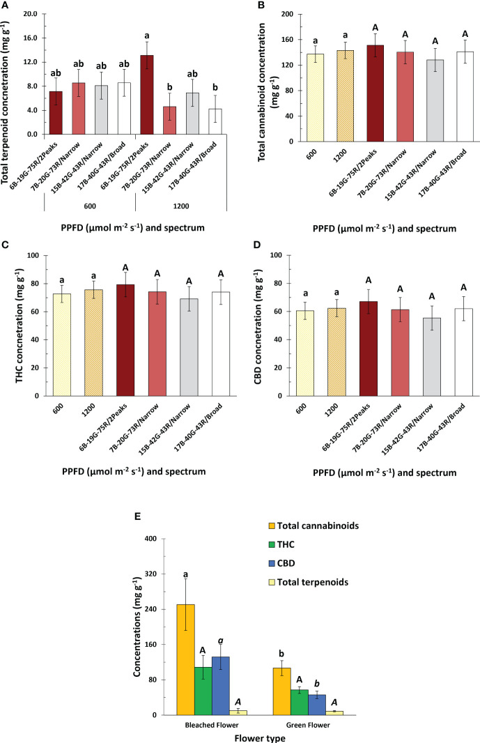 Effects of spectrum and PPFD on specialized metabolite concentration of Cannabis sativa. (A) total terpenoid concentration; (B) total cannabinoid concentration; (C) THC concentration; (D) CBD concentration. (E) effect of inflorescence type on total cannabinoid, THC, CBD, and total terpenoid concentration. Bars indicate means of two blocks (n = 2) each consisting of 9 replicate plants, with the exception of panel (E) which only consisted of one block. Main effects are shown when no interaction is found. Error bars represent standard error of means (SEM). Different letters (within lowercase and uppercase) indicate significant differences between treatments (Fisher’s unprotected LSD test, P = 0.10).