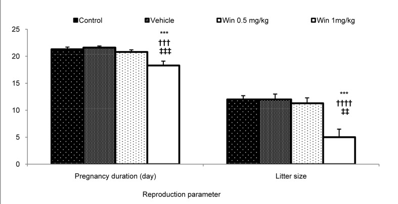 Comparison of pregnancy duration and number of litter size for born rats in the studied groups; Results are illustrated as mean ± SEM (n = at least 8) ***: Significant difference with the control group (P < 0.001) †††, ††††: Significant differences with the vehicle group (P < 0.001 and P< 0.0001, respectively) ‡‡, ‡‡‡: Significant differences with the 0.5 mg/kg and 1 mg/kg WIN treated groups, respectively (P < 0.01 and P < 0.001, respectively)