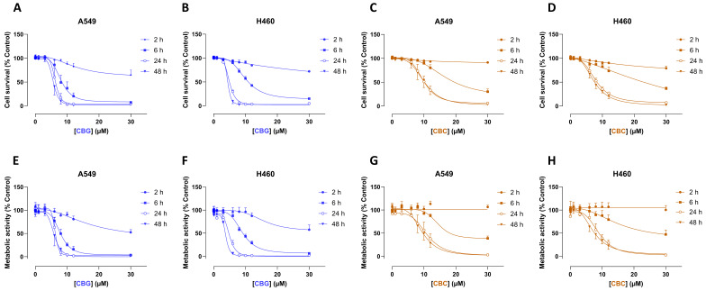Concentration- and time-dependent effect of CBG and CBC on survival (A–D) and metabolic activity (E–H) in A549 and H460 cells. Cells were incubated with the respective cannabinoid at the indicated concentrations for the indicated times. Data were obtained using crystal violet (A–D) or MTT (E–H) assays. All percentage values shown refer to the respective time-matched vehicle control, which was set to 100%. Data represent the mean ± SEM of 4 biological replicates, each performed in technical triplicate.
