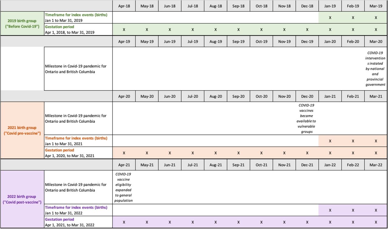 Study population for quantitative portion by birth group