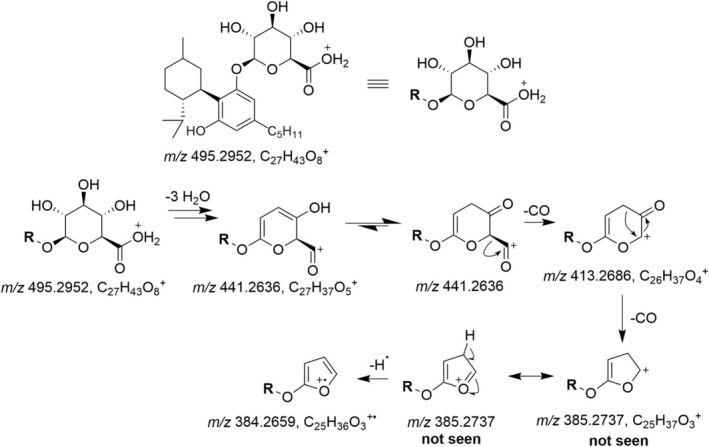 Postulated fragmentation pathway of H4CBD glucuronide, explaining the formation of the radical cation m/z 384.