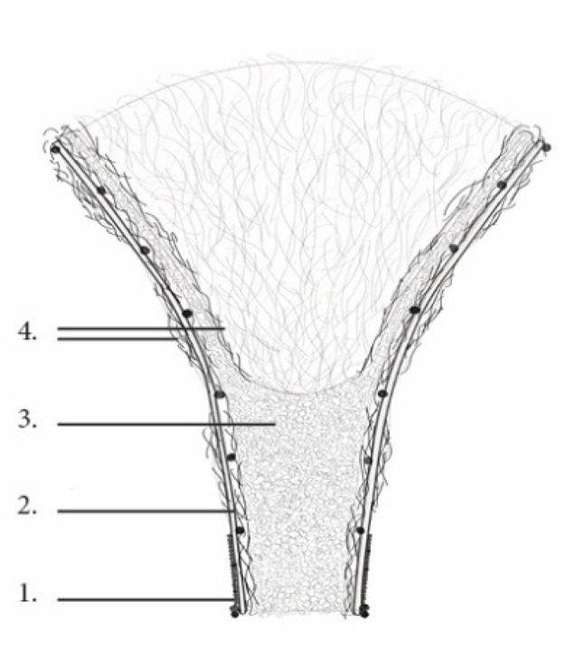 Section: 1. Rattan ⌀ 2 mm, 2. Rattan ⌀ 5 mm, 3. Mycelium substrate, 4. Hemp fibers.