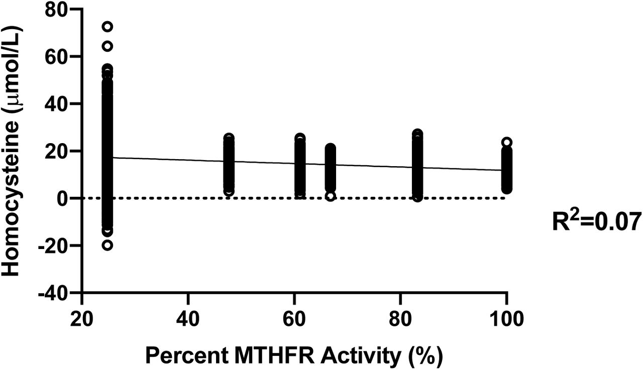 Linear regression of MTHFR activity versus homocysteine including 1298AA/677TT.Linear regression of 1,000 synthetic homocysteine datapoints per combination of rs1801131 (A1298C) and rs1801133 (C677T) SNPs by in vitro MTHFR activity. There was a significant association between MTHFR function and homocysteine (p<0.001, R2=0.07); however, the large SD (66% of the mean) in those with 1298AA/677TT resulted in 6.9% of predicted homocysteine levels being negative. This sugge sts that homocysteine in those with 1298AA/677TT is highly-variable, non-normally distributed, and that the effects of MTHFR activity on homocysteine levels are non-linear.