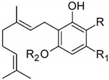 pharmaceutics-13-01823-i004.jpg
