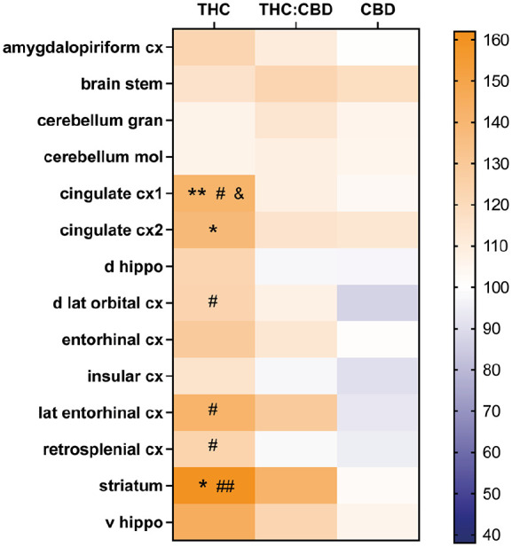 This image is a heatmap showing the mean functional connectivity strength of various brain regions under four different conditions: control (Veh), THC, THC:CBD, and CBD. The heatmap uses a color gradient from blue (decreases) to orange (increases), indicating the percentage change from the control condition. The heatmap includes annotations such as asterisks and hashes to denote statistical significance levels compared to the control group. Regions like amygdala show significant changes under THC and THC:CBD compared to control, while others like the cortex show changes under CBD. This data was analyzed using a mixed effects ANOVA, considering both the type of treatment and the brain region as factors.