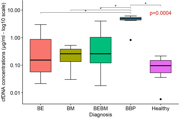 Boxplot graphic displaying cfDNA concentrations in micrograms per milliliter on a log10 scale for five diagnosis groups: BE, BM, BEBM, BBP, and Healthy. BBP group shows significantly higher cfDNA concentrations compared to other groups, indicated by asterisks and a p-value of zero point zero zero zero four. Each colored box represents the interquartile range and median, with outliers marked as dots.