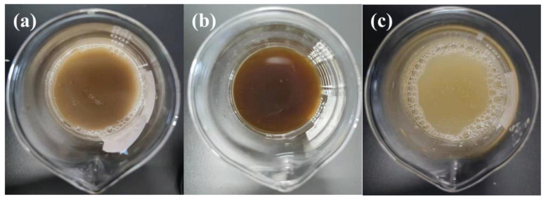 Top view of degumming waste liquid in different processes: (a) biological enzymatic degumming, (b) oxidative degumming in alkaline conditions, and (c) oxidative degumming with electro-Fenton reagent.
