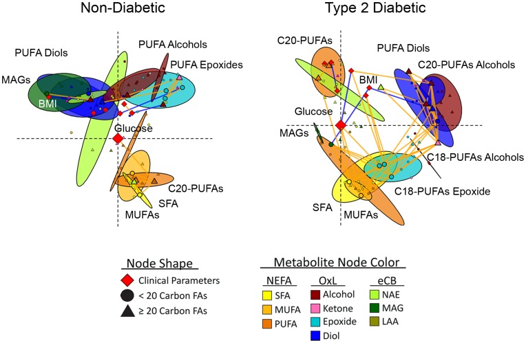 Parameter connectivity networks of metabolites and clinical parameters in African-American women with and without type 2 diabetes.Spearman’s correlations were used to generate multi-dimensionally scaled parameter connectivity networks for variable intercorrelations. Networks were oriented with fasting glucose at the origin and SFA in the lower right quadrant. Colored ellipses represent the 95% probability locations of metabolite classes (Hoettlings T2, p<0.05). Nodes indicate clinical parameters (diamonds), <20-carbon fatty acid metabolites (circles) and ≥20-carbon fatty acid metabolites (triangles), with discriminant model variables and glucose enlarged. Significant correlations between species are designated by orange (positive) or blue (negative) connecting lines (p<0.05, non-diabetic; p<0.01, diabetic participants).