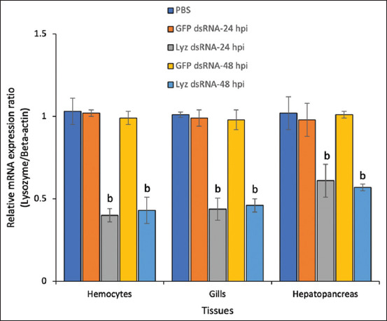 RNA interference assay of lysozyme (Lyz). Relative expression levels of the Lyz gene following Lyz dsRNA and GFP dsRNA delivery. Each bar represents the mean ± SD (n = 5) of the qRT–PCR analysis. Bars labeled with different letters indicate statistically significant differences according to Tukey’s multiple comparison test (p < 0.05). qRT–PCR=Quantitative reverse transcription polymerase chain reaction, dsRNA=double-stranded RNA, GFP=Green fluorescent protein.