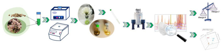 Schematic experimental steps involved in the extraction, sample preparation, and NMR characterization of C. sativa seeds and inflorescences.