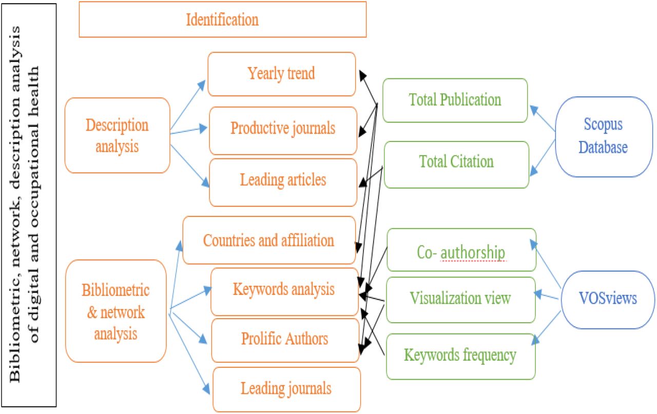 Analytical structure of the current paper