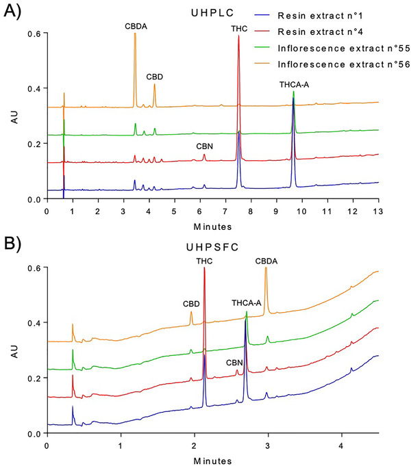 Chromatograms obtained from the analysis of two cannabis resin samples (resin extract n°1 and resin extract n°4), a “THC‐like” cannabis inflorescence (inflorescence extract n°55) and a “CBD‐like” cannabis inflorescence (inflorescence extract n°56) samples by means of the UHPLC (A, on the top) and UHPSFC (B, on the bottom) methods. Chromatographic conditions are described in Section 2.3.2 for UHPLC and in Section 2.4.3 for UHPSFC