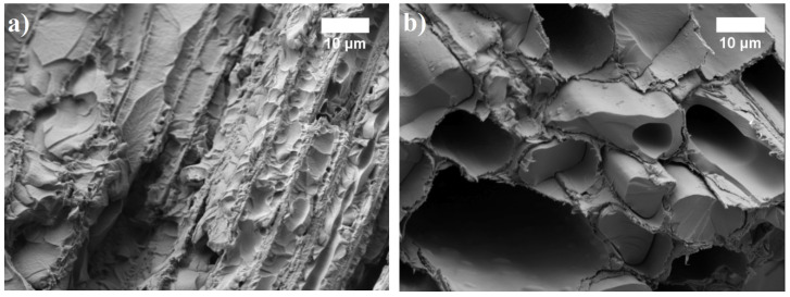 The microstructure of BcBs with different oil-impregnation and hardening at 90 °C: (a) linseed oil; (b) tung tree oil (magnification ×1500).
