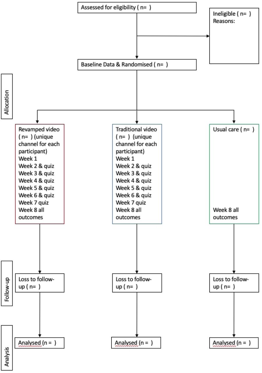 CONSORT flow diagram