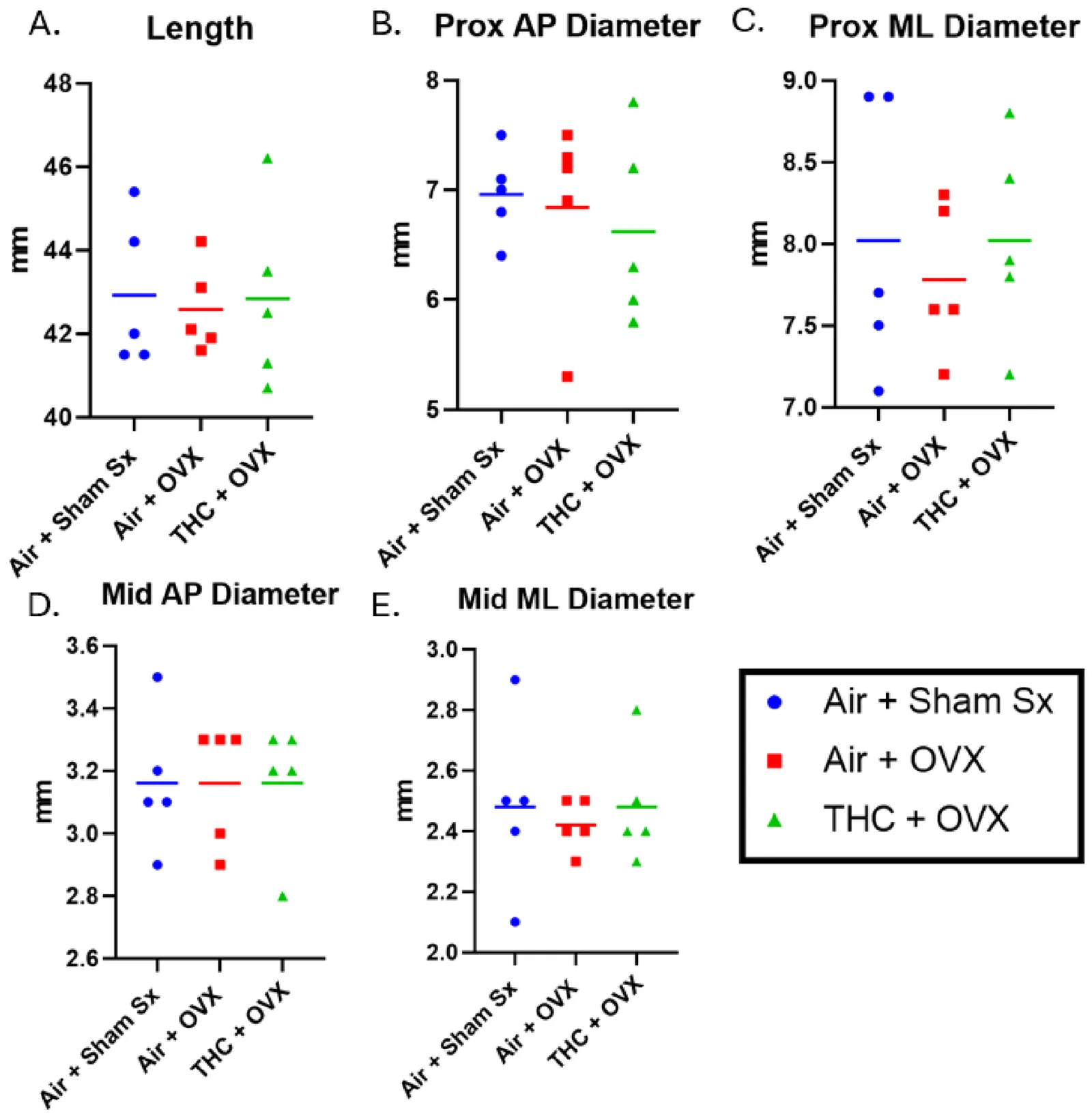 Caliper measurements of tibiae. Dot plots (mean-line) of Air + OVX (n = 5), THC + OVX (n = 5), and Air + Sham Sx (n = 5) at study end. No significant differences in tibia length, proximal AP or MP diameter, or mid-diaphyseal AP or MP diameter were found.