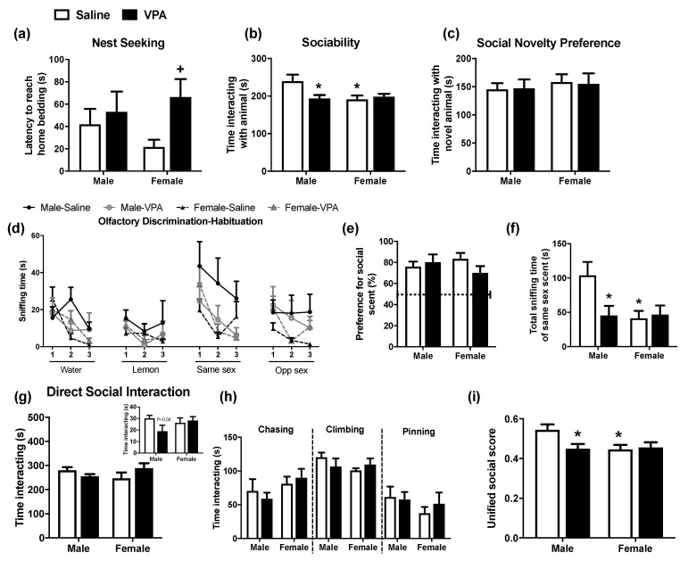 The effect of prenatal VPA exposure on social behaviour in male and female rats. (a) Latency to reach home bedding in the nest-seeking test at PND 13 (n = 7 to 10 per group). (b) Time interacting with animal in the sociability phase of the three-chamber test during adolescence (n = 10 to 11 per group). (c) Time interacting with novel animal in the social novelty preference phase of the three-chamber test during adolescence (n = 12 per group). (d) Time spent sniffing each scent (water, lemon, same sex, opposite sex), (e) discrimination index ((same sex)/(same sex + lemon) × 100) and (f) total time spent sniffing the same sex scent in the OHD test during adolescence (n = 7 to 12 per group). (g) Total social interaction during the 10 min DSI test and the first min of the trial and (h) chasing, climbing and pinning behaviour during the DSI test during adolescence (n = 6 per group). (i) Unified behavioural social score (n = 12 per group). Data expressed as mean + SEM. * p < 0.05 vs. saline-exposed males; + p < 0.05 vs. saline-exposed females.