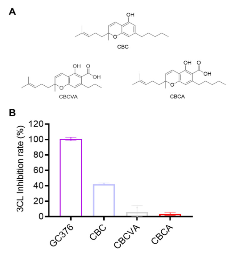 The chemical structures of the CBC-type of cannabinoids (A) and their inhibitory effect on the activity of SARS-CoV-2 Mpro (B). These cannabinoids were tested at a concentration of 10 μM with the MBP-tagged SARS-CoV-2 Mpro inhibition assay. GC376 was used as the positive control and each test compound was assayed in triplicate.