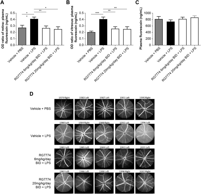 Ratios of (A) retina:plasma (n = 11 eyes for all treatment groups) and (B) vitreous:plasma, (n = 10 eyes for the vehicle plus phosphate-buffered saline (PBS) group, n = 11 eyes for all other treatment groups), and (C) plasma levels of fluorescein (n = 6 mice) in mice treated with and without intravitreal (IVT) lipopolysaccharide (LPS) and/or twice daily (BID) oral RG7774 (6 mg/kg/day or 20 mg/kg/day). (D) Representative fundus fluorescein angiography (FFA) images (Heidelberg Spectralis) of study eyes from mice treated with and without LPS and/or twice daily oral RG7774 (6 mg/kg/day or 20 mg/kg/day). In (D), mouse identification numbers and left/right eye labels are shown above each image. *p < 0.05; **p < 0.01; ***p < 0.001 based on 1-way analysis of variance (ANOVA), followed by Newman–Keuls post hoc analysis.