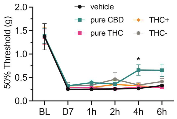 Effect of single-dose oral administration of cannabis extracts and pure cannabinoid compounds on mechanical thresholds in neuropathic mice. Mechanical paw-withdrawal thresholds of neuropathic pain mice were determined using von Frey filaments at baseline (BL), on day 7 after surgery (D7), as well as 1, 2, 4 and 6 h after single-dose oral administration of vehicle (i.e., sesame oil), 20 mg/kg pure CBD and THC compounds, 40 mg/kg THC+ extract and 1560 mg/kg THC- extract. Data are represented as mean ± SEM, n = 10 per treatment group. * p < 0.05, 2-way ANOVA followed by Dunnett’s post hoc test.