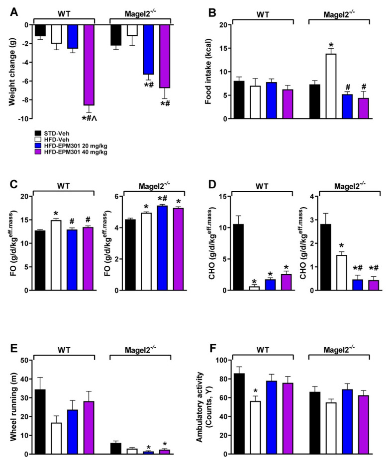 EPM301 promotes weight loss, decreases food intake, changes the energy profile, and affects activity in GIO Magel2null mice. Daily chronic treatment of obese Magel2null mice with EPM301 (20 or 40 mg/kg/day, i.p.) for 28 days reduced body weight at day 28, compared to day 1 (A), and caloric food intake (B). EPM301 also increased fat oxidation (FO; C) in these mice and reduced carbohydrate oxidation (CHO; D). Wheel running was not affected and was generally low among all groups in this genotype (E); however, the ambulatory activity slightly increased (F). Data represent the mean ± SEM from 4–13 mice per group. * p < 0.05 relative to STD-Veh of the same strain; # p < 0.05 relative to HFD-Veh of the same strain, ^ p < 0.05 relative to HFD-EPM301 20mg/kg of the same strain.