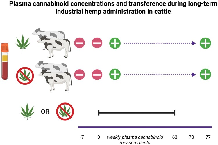 Graphical Abstract