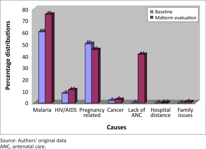 Common causes of maternal deaths as reported by community members.