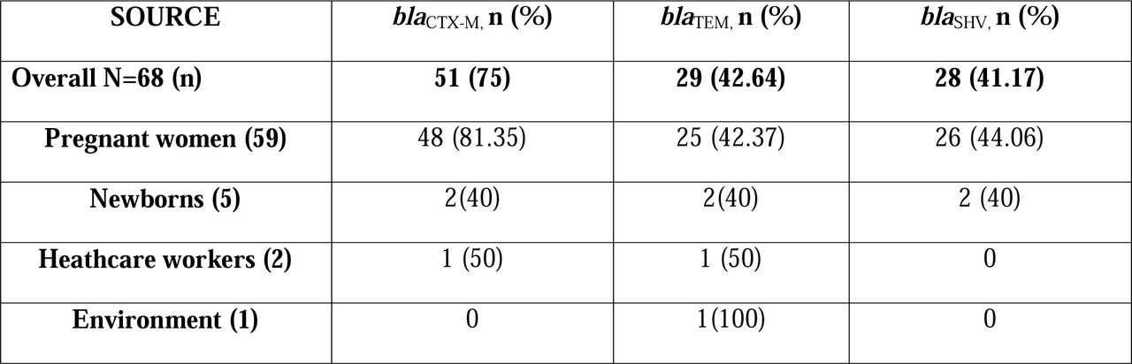 Prevalence of ß-lactamase resistance genes among ESBL-positive isolates according to the source of isolation