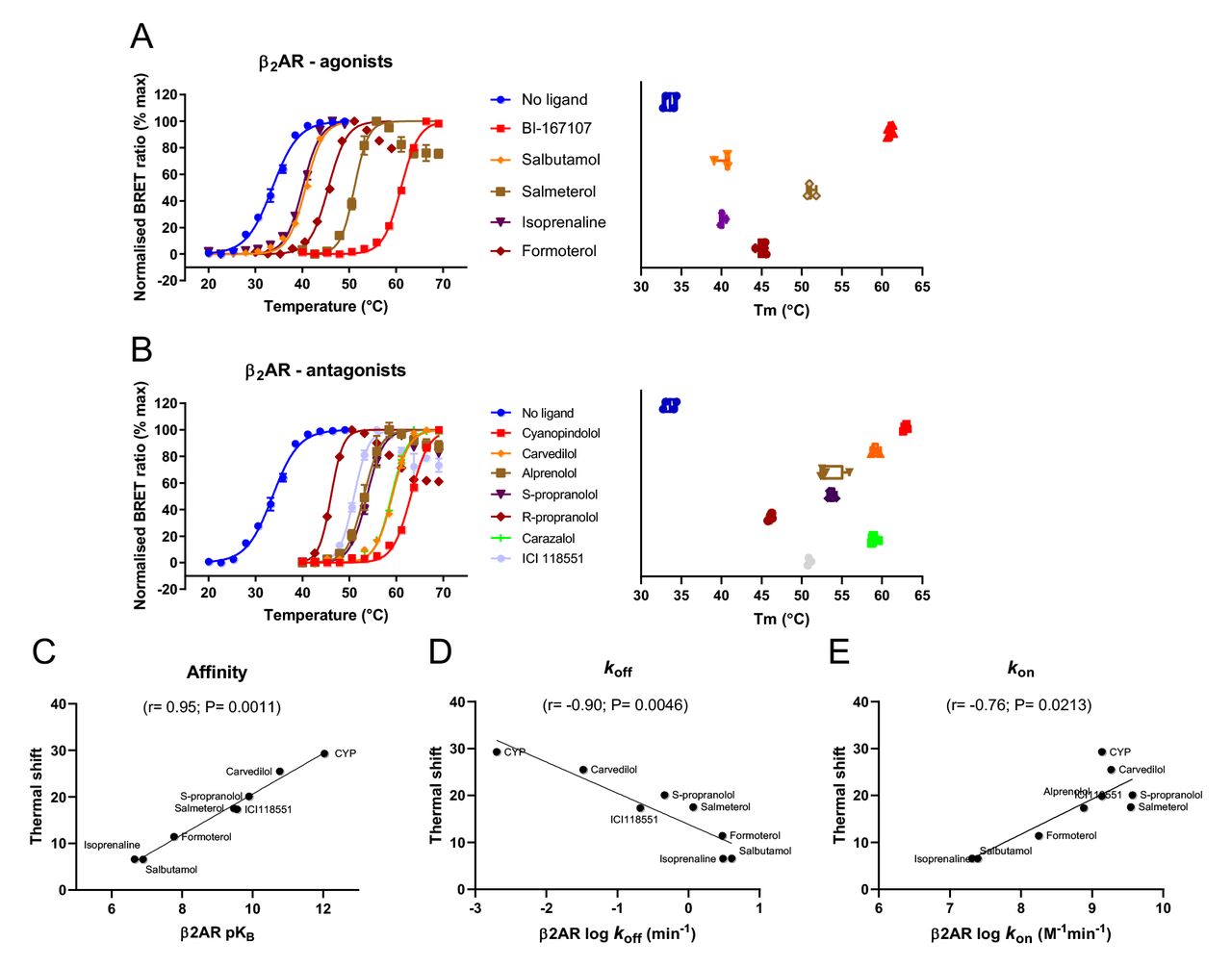 tsNluc β2AR thermoBRET measurements in 0.1% DDM with stabilising ligands and high thermostability situation.ThermoBRET thermostability curves and pooled Tm measurements for tsNluc-β2AR solubilised in DDM in the presence/absence of (A) agonist ligands and (B) antagonist ligands. The magnitude of shifts are shown on panels on the right, with ligands as indicated on the left panel. Correlations of ligand thermostability (ΔTm) with (C) ligand affinity, (D) ligand koff and (E) ligand kon. (A) and (B) show pooled normalised data showing mean ± standard deviation for the number of experimental replicates evident in the far-right graph (n≥3), pooled normalised data from 3 or more independent experiments. Radioligand binding data values were taken from (Sykes, Parry et al. 2014).