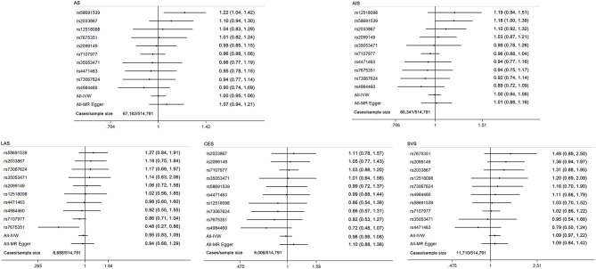Forest plot of MR estimates for the causal effect of each cannabis use marker on any stroke and ischemic stroke subtypes. AS, any stroke; AIS, any ischemic stroke; LAS, large artery stroke; CES, cardioembolic stroke; SVS, small vessel stroke.