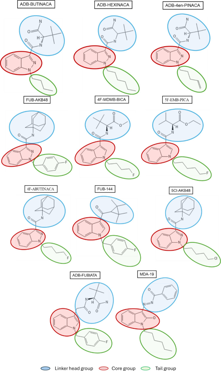 Chemical structures of test compounds. The illustrations depict the chemical structures of the eleven synthetic cannabinoids evaluated. Each structure indicates the linker head (blue), core (red), and tail groups (green)