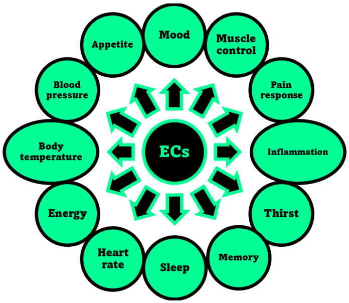 Aspects of humans’ life regulated by the ECS, through the interaction of ECs with receptors CB1 and/or CB2, as reported in the relevant review by Sharma et al. [52].