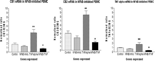 Effects of NF‐κB inhibitor SN50 [18 μ m] on CB1(left), CB2 (middle) and TNF‐α (right) mRNA in unstimulated and TNF‐α‐ stimulated PBMC. The NF‐κB inhibitor (SN50) decreased expression levels of each gene by more than a half in TNF‐α‐stimulated PBMC. Data represent mean average ±SEM; n = 4. t‐test *= P < 0.05; **P < 0.005.