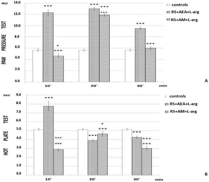 Effects of AEA and L-arg with AM251 pretreatment on r-SIA estimated by (A) PP and (B) HP test after 1 h of restraint (1 h RS) in rats. The mean values ± SEM are presented. *** p < 0.001, * p < 0.05 vs. control; +++ p < 0.001 vs. 1 h RS + AEA + L-arg. *** p < 0.001 (F = 1226.68966 at the 10th min; F = 57.14286 at the 20th min; F = 402.2069 at the 30th min).