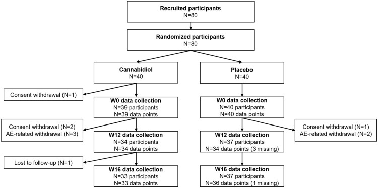 Flow chart of the study sample. AE, adverse effect; W, week.