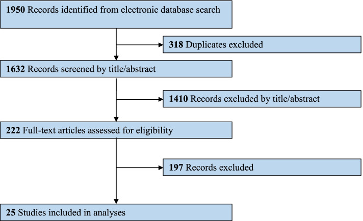 Diagram of literature review