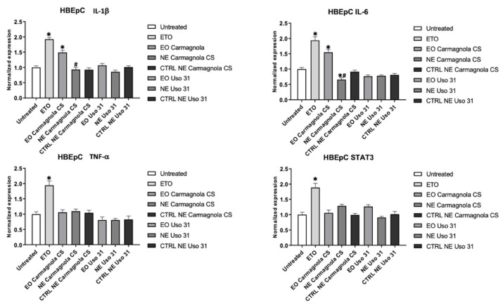 Effect of Uso 31 and Carmagnola CS EO-based NEs on inflammatory state was evaluated in HBEpC cell line. IL-1 beta, IL-6, TNF-alpha, and STAT3 mRNA levels were determined by RT-PCR. Cells were treated with 0.0039% (% v/v) of C. sativa EOs and 0.015% (% v/v) of C. sativa EO-based NEs and their control, compared with cells treated with ETO 2.5 µM used as positive control, and evaluated after 24 h. * p < 0.05 vs. untreated; # p < 0.05 C. sativa EO-based NEs vs. C. sativa EO.