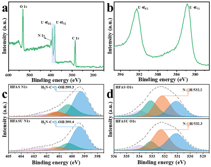 The XPS spectroscopy of HFASU (a), high-resolution spectra of U 4f (b), N 1s (c), and O 1s (d) of HFAS and HFASU.