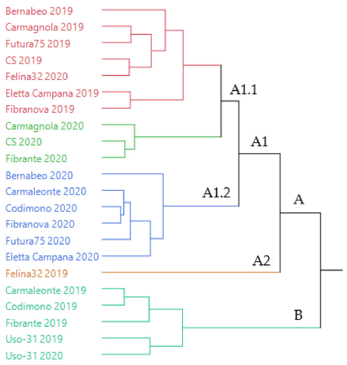 Dendrogram obtained with the hierarchical cluster analysis (HCA) performed on the complete composition of the essential oils extracted from all the hemp samples.