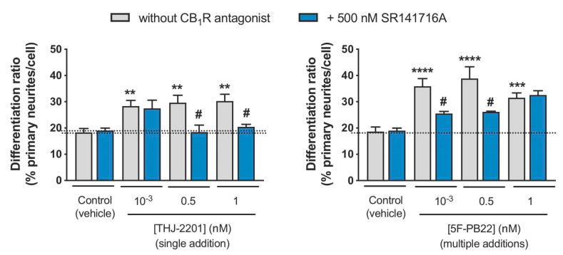 Assessment of CB1 receptor (CB1R) involvement in SC-mediated neuronal differentiation. Neuronal differentiation was induced as described in Materials and Methods and NG108-15 cells were treated with 5F-PB22 or THJ-2201 in the conditions that previously showed significant changes in primary neurite outgrowth (grey bars), following exposure 500 nM SR141716A, a selective CB1R antagonist (blue bars). Each bar represents the mean ± SEM, for at least five independent experiments, performed in duplicate. ** p < 0.01, *** p < 0.001, **** p < 0.0001, compared to vehicle control (one-way ANOVA, followed by Dunnett’s post-test). # p < 0.05, compared to the respective SC concentration in the absence of antagonist (one-way ANOVA, followed by Sidak’s multiple comparisons test).
