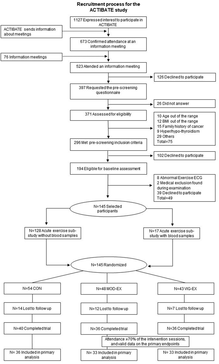 Study participants enrolment from the ACTIBATE study. Abbreviations: BMI, body mass index; CON, control group; MOD-EX, moderate-intensity exercise group; VIG-EX: vigorous-intensity exercise group; ECG, electrocardiogram.