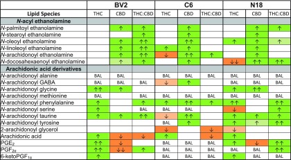 Comparison of significant effects of 1 μM Δ9-tetrahydrocannabinol (THC) stimulation, 1 μM CBD stimulation, and combined 1 μM Δ9-tetrahydrocannabinol (THC) and CBD stimulation for 2 h on levels of six different NAE lipids, targeted AA-derived lipoamines, 2-AG, free AA, and PGs between BV2, C6, and N18 cell lines. The color of the cell indicates the direction of change of a lipid's concentration with drug relative to vehicle: orange is a decrease and green is an increase. Darker colors indicate p<0.05, whereas lighter colors indicate p<0.10. The number of arrows represents the magnitude of the change. One arrow=1–1.5-fold change; two arrows=1.5–2-fold change. See Supplementary Methods and Supplementary Figure S3 for more details.