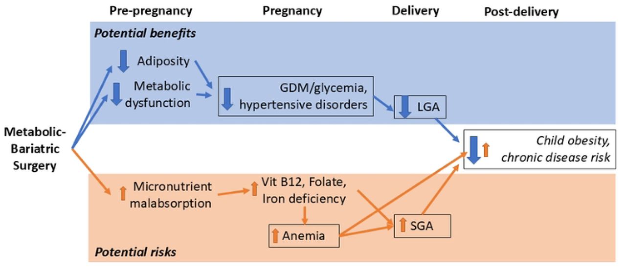 POSIT study hypotheses.While metabolic-bariatric surgery can increase risk for small for gestational age (SGA) infants, on balance, improvements in maternal risk for gestational diabetes (GDM) and hypertensive disorders after MBS are predicted to favor lower childhood risk for obesity and chronic diseases. LGA: large for gestational age.