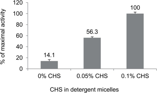 Stabilization of CB2 by CHS. Stability of CB2 in detergent micelles at 4 °C was tested by measuring functional activity of CB2 reconstituted into proteoliposomes from detergent micelles with indicated content of CHS. The activity recovered from micelles supplemented with 0.1% CHS was set at 100%. The receptor was incubated in buffers with indicated content of CHS overnight at 4 °C, and reconstituted into POPC/POPS/CHS lipid matrix in a form of proteoliposomes. The functional activity was determined by measuring the rates of G protein activation by the liposome-reconstituted receptor in the presence of a saturating concentration of agonist CP-55,940. Representative data from a typical experiment (out of a total of 3) are presented; each point is an average of two measurements. (Data reproduced from [24]).