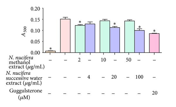 Effect of N. nucifera on adipogenesis using 3T3-L1 cells.