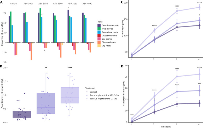 Influence of the different treatments tested in planta under controlled conditions (A) and in the field (B, C, D). A Comparison between the proportion of observed traits in Cannabis seedlings of the different treatments and the control under controlled conditions. Differences between treated and control Cannabis plants grown under field conditions on their B shoot fresh weight upon harvesting (n = 30 per group) and on their C heights and D stalk diameter at four different time points until the conclusion of the trial, whereas error bars represent the confidence interval of 95%. Significant differences are indicated as follows: * as P ≤ 0.05, ** as P ≤ 0.01, *** as P ≤ 0.001, and **** as P ≤ 0.0001